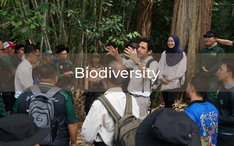 Biodiversity