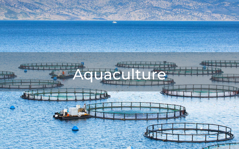 Aquaculture