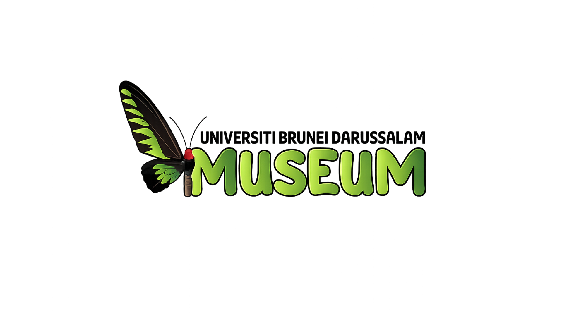 UBD Museum Logo
